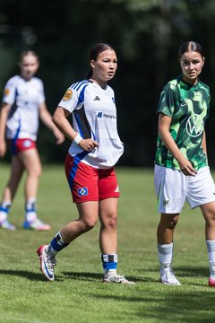 Bild 141 - wBJ Hamburger SV - VfL Wolfsburg : Ergebnis: 5:1
